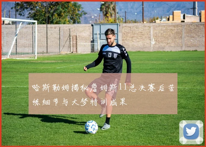 哈斯勒姆揭秘詹姆斯11总决赛后苦练细节与大梦特训成果
